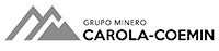 Carola Coemin