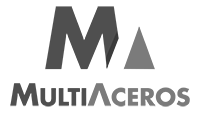 Multiaceros